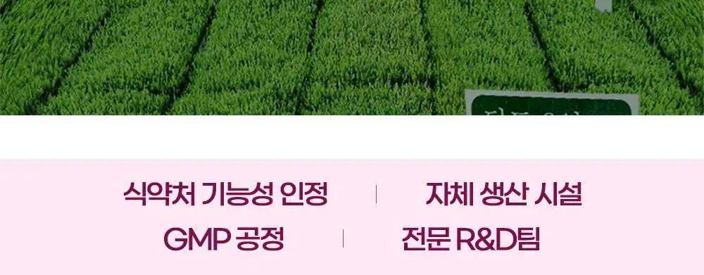 [딥트3일 한정기획] 워터밤 패키지 스트롱 플러스 8포+듀얼 버닝 3포 상세페이지 112